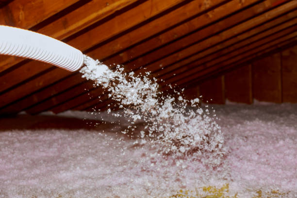 Best Commercial Insulation in East Sparta, OH