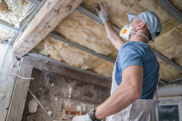 Best Cellulose Insulation in East Sparta, OH