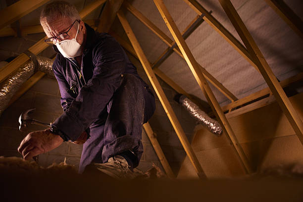 Types of Insulation We Offer in East Sparta, OH